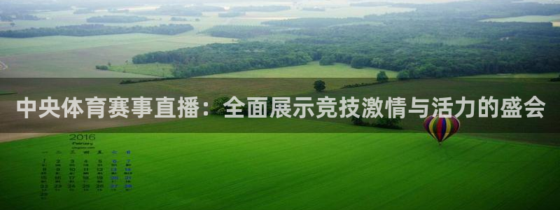 中央体育赛事直播：全面展示竞技激情与活力的盛会