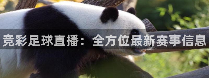 竞彩足球直播：全方位最新赛事信息