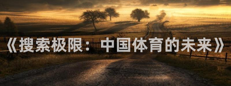 《搜索极限：中国体育的未来》