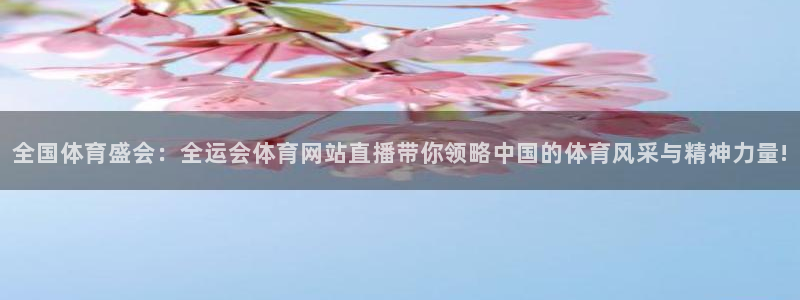 全国体育盛会：全运会体育网站直播带你领略中国的体育风采与精神力量!