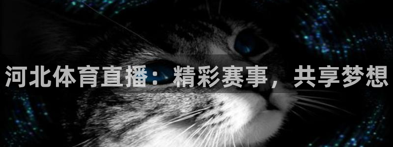 河北体育直播：精彩赛事，共享梦想