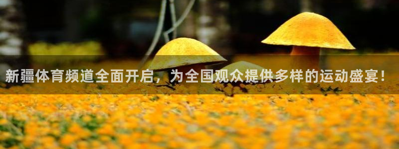 新疆体育频道全面开启，为全国观众提供多样的运动盛宴！