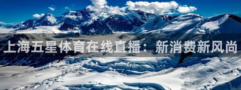 上海五星体育在线直播：新消费新风尚