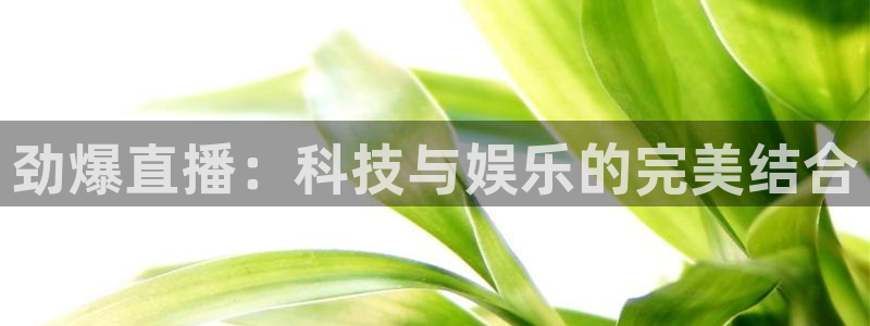 劲爆直播：科技与娱乐的完美结合