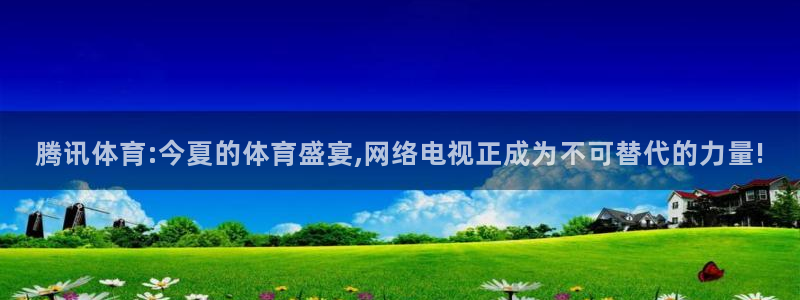 腾讯体育:今夏的体育盛宴,网络电视正成为不可替代的力量!