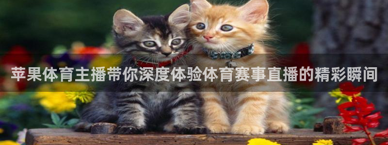 苹果体育主播带你深度体验体育赛事直播的精彩瞬间
