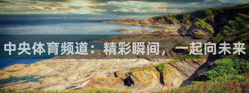 中央体育频道：精彩瞬间，一起向未来