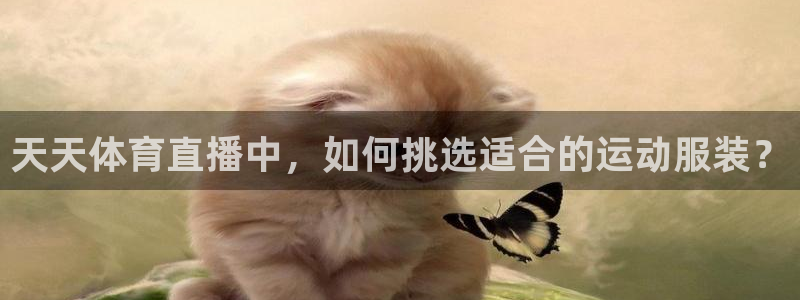 天天体育直播中，如何挑选适合的运动服装？