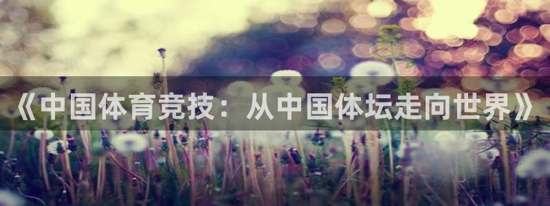 《中国体育竞技：从中国体坛走向世界》