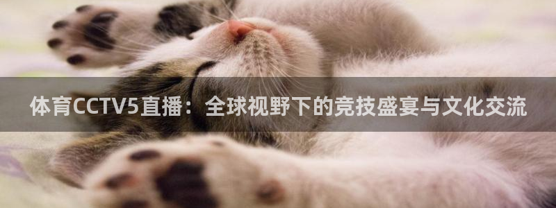 体育CCTV5直播：全球视野下的竞技盛宴与文化交流