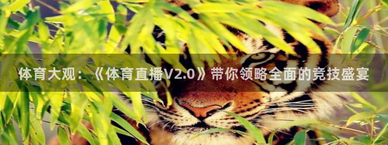 体育大观：《体育直播V2.0》带你领略全面的竞技盛宴