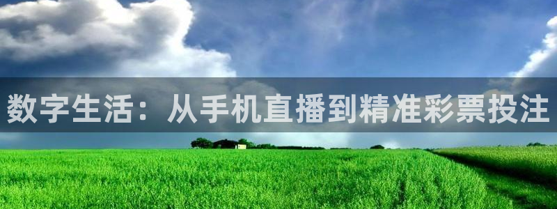 数字生活：从手机直播到精准彩票投注